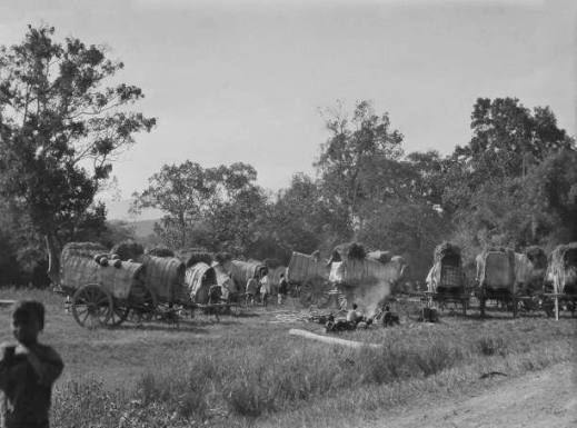 Old photo of Kurumbas tribal encampment in Ooty Kurumba are shepherds and weavers of coarse woolen blankets. The Kurumbar are one of the earliest known inhabitants of the Western ghats , who