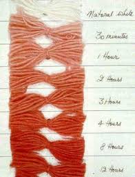 170 Natural Dyeing Ideas How To Dye Fabric Natural Dyes Plant Dyes