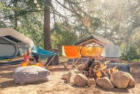 Dã ngoại là gì? những lưu ý cần thiết khi đi dã ngoại | Freeman Chuyên Đồ  Cắm Trại Outdoor Camping , Thể Thao Ngoài Trời