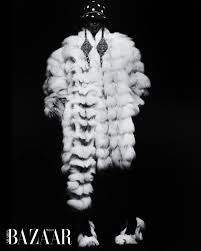 Image result for Poa binata