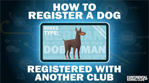 How to register a dog with CKC that's registered with another club
