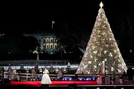 For their annual zoo lights event. Another Dc Holiday Tradition Postponed National Christmas Tree Lighting Gridlock Wtop