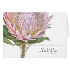 Thank You Notes Modern Floral Pink Protea Flower Zazzle Com Protea Flower Modern Floral Flowers