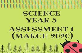 This site has a good collection of free downloadable test papers from popular schools in singapore. Mindappz