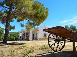 Consulta cómodamente la oferta inmobiliaria y encuentra el inmueble que mejor se adapta a tus necesidades: 41 Casas Rurales Que Admiten Perros Gratis En La Provincia De Cadiz Redcanina Es