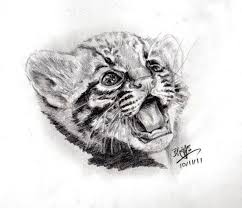Pencil Animals By Chaseroflight On Deviantart Cute Animal Drawings Animal Sketches Animal Drawings