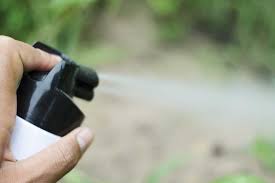 Loyal termite & pest control co., inc. How Can I Prevent Termites Naturally Loyal Termite Pest Control