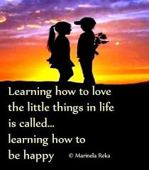 Quotes About Little Things That Count 28 Quotes