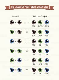 This Diagram Will Tell You What Your Future Babies Will Look Like