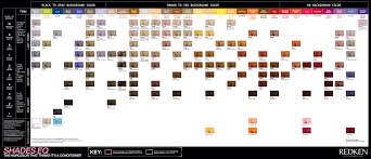 Redken Shades EQ Gloss 60ml | eBay Australia