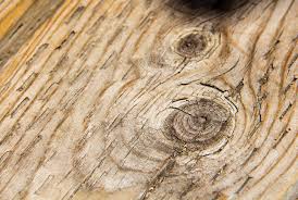 However, it does not prevent. Can You Paint Pressure Treated Wood The Craftsman Blog