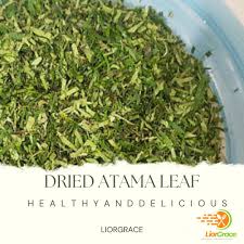 Image result for Heinsia