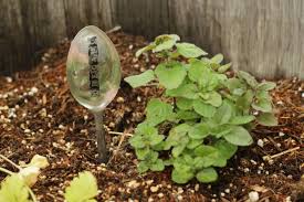 15 creative diy garden markers & plant labels. Diy Spoon Garden Markers The Prairie Homestead