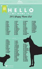 Sometimes the obvious choice is the color of her coat. Finding The Best Names For Dogs Chasing Dog Tales Puppy Names Popular Dog Names Dog Names