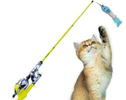 تصویر Cat fishing pole toy