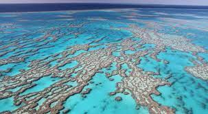 What comes to mind when you think of the largest structure built by living creatures? Great Barrier Reef Australiens Einzigartiges Naturparadies