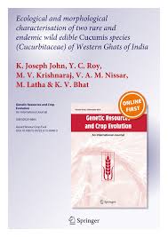 Image result for Cucumis aetheocarpus