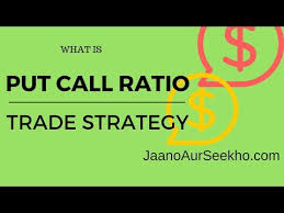 What Is Put Call Ratio In Stock And How To Earn Money Using
