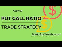 what is put call ratio in stock and how to earn money using