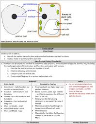 Check spelling or type a new query. Plant And Animal Cells Grade 5 All Living Things Are Made Up Of Cells The Structures Of Different Types Of Cells Are Related To Their Functions Pdf Free Download