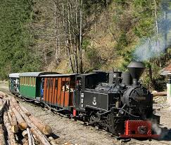 Unitatea de cazare face parte din categoria case de vacanta romania. Mocanita Din Viseul De Sus