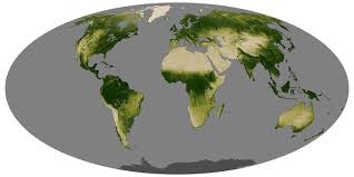 We did not find results for: Global Maps