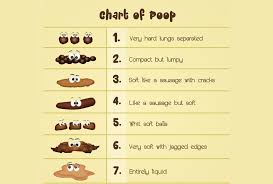 Image result for yellow stool human poop