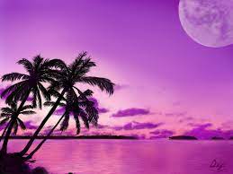 Cute animal pictures pretty pictures duck and ducklings baby ducks lake cabins all gods creatures green trees beautiful birds sunrise. Sunset Sea Ipad Drawing By Shiori2525 On Deviantart