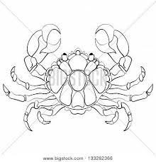 It must be understood that the cancer zodiac sign benefactor of the horoscope is a kind of ruler, insisting on what's best for everybody else. Hand Drawn Vector Photo Free Trial Bigstock