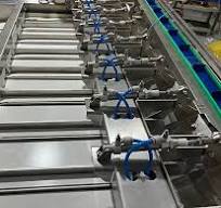 12 scale packing machine for Blueberries
