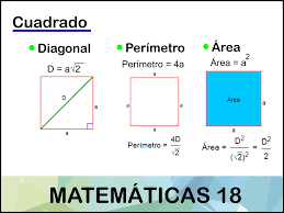 Un cuadrado también es un rectángulo (ángulos de 90°) y un rombo (lados iguales). Cuadrado Que Es Area Perimetro Y Diagonal Matematicas18