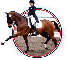 An upper level dressage competitor performing an extended trot. Marie Meyers Dressage Your Source For The Premiere Dressage Horse