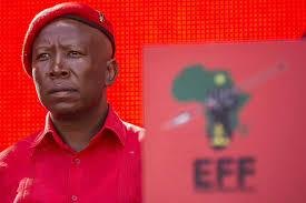 Julius sello malema (born 3 march 1981) is the leader of the economic freedom fighters, a south african political party, which he founded in july 2013. Slr Mi6 Malema And Export Of Destructive Populism Biznews Com