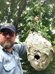 Bigfoot pest control ēri pasta indekss 16505. Bigfoot Pest Control Home Facebook