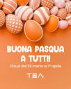 Francesco Babolin - Tea Web | LinkedIn