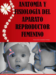 Anatomía y Fisiología Del Aparato Reproductor Femenino