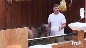Whoever loses the most challenges in each episode must face a humiliation concocted by the other 3. Quiz What Is The Camel S Name Impractical Jokers Fans Amino