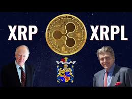 You should do your own thorough research. Xrp News Rothschild Own Ripple Xrp Shocking Youtube