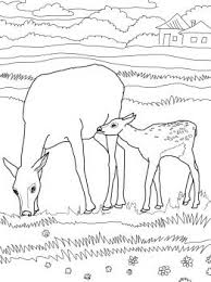 Mother And Baby Elk Horse Coloring Pages Coloring Pages Animal Coloring Pages