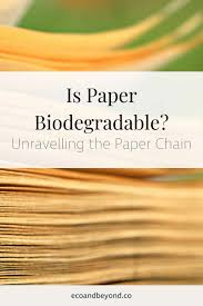 Though tissues are compostable, the germs on used tissues make many people hesitant to add them to a home compost pile.</strong></h3> </body> </html>. Is Paper Biodegradable Unravelling The Paper Chain