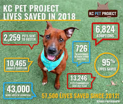 A kansas city, mo 64155 rescue helping to find loving homes for dogs, cats. 2018 Statistics Kc Pet Project