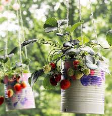 We did not find results for: 19 Smart Diy Ideas For Growing Strawberries In Small Space