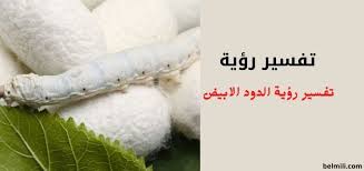 من رأى القمل في الثياب الجدد فإنه زيادة الدين، وإذا كان على الأرض فإنه قوم ضعاف، فإن دبَّت حواليه فإنّه يصاحب ومن رأى قملاً كثيراً في ثيابه أو جسده فإنه ينال خيراً ونعمة وبركة وخلاصاً من جميع الغموم والأحزان، ومن رأى قملاً وهو. ØªÙØ³ÙŠØ± Ø±Ø¤ÙŠØ© Ø§Ù„Ø¯ÙˆØ¯ Ø§Ù„Ø§Ø¨ÙŠØ¶ ÙÙŠ Ø§Ù„Ù…Ù†Ø§Ù… Ù„Ù„Ù…ØªØ²ÙˆØ¬Ø© ÙˆØ§Ù„Ø¹Ø²Ø¨Ø§Ø¡ Ø¨Ø§Ù„Ù…Ù„Ù„ÙŠ