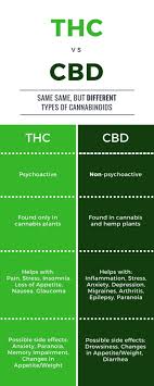Pin On Cbd Vs Thc
