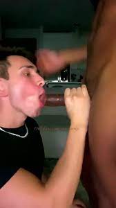 Gay porn blowjob