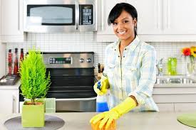 3 Ways To Clean With Eucalyptus Oil
