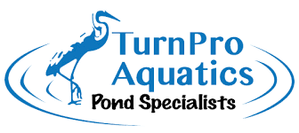 TurnProAquatics