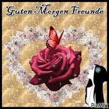 Kostenlose nutzung große bildauswahl kein copyright & keine zuteilung erforderlich. Guten Morgen Freunde Picmix