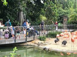 San Diego Zoo Reopens As Sanctuary For Cooped Up Families Courthouse News Service