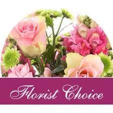 Flowers for dominican republic offers same day flower & gift basket delivery for dominican republic at very low rates. Flower Delivery Dominican Republic Online Florist Dominican Republic